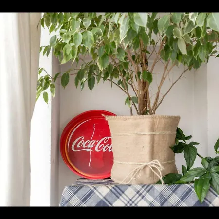 Appartement Susy Apartment, Lightly And Quiet With Gardnview *