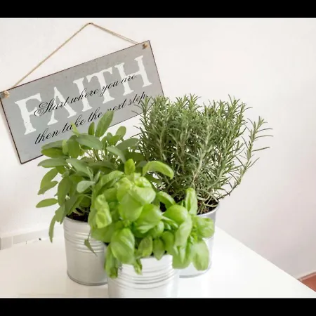 Susy Apartment, Lightly And Quiet With Gardnview Appartement *